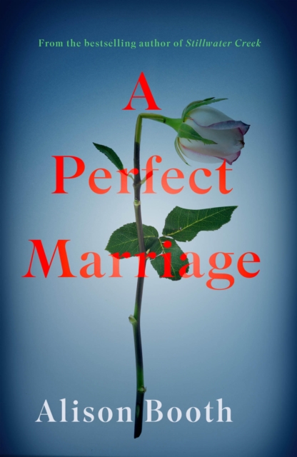 Perfect Marriage, Paperback / softback Book