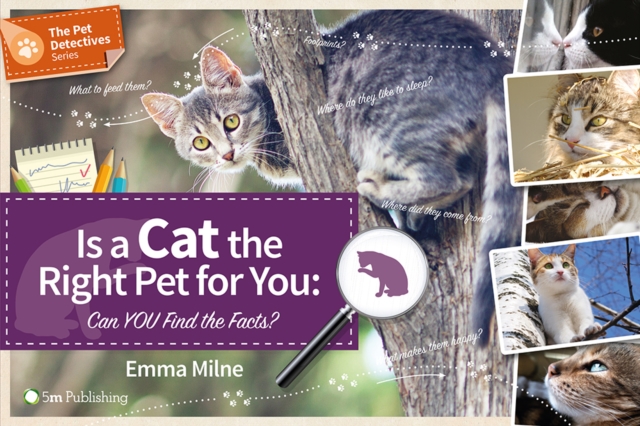 Is a Cat the Right Pet for You: Can You Find the Facts?, Paperback / softback Book