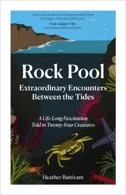 Rock Pool: Extraordinary Encounters Between the Tides : A Life-long Obsession told in Twenty-Four Creatures, Hardback Book