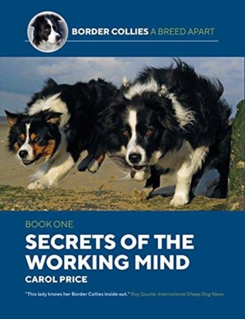 Secrets Of The Working Mind, Paperback / softback Book