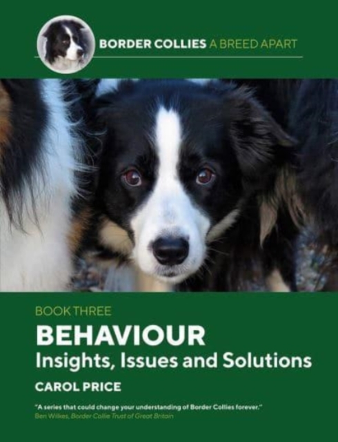Behaviour: INsights, Issues and Solutions, Paperback / softback Book