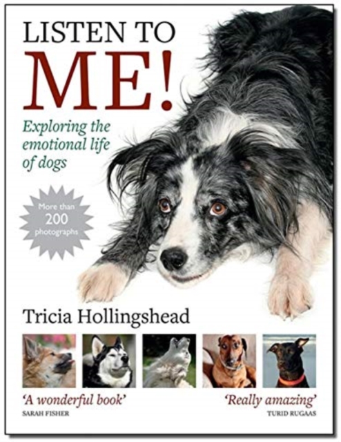 Listen To Me! : Exploring the emotional life of dogs, Paperback / softback Book