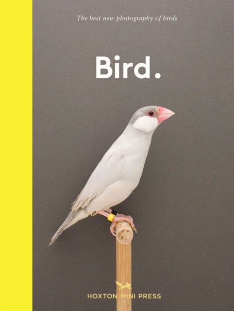 Bird. : The best new photography of birds, Hardback Book