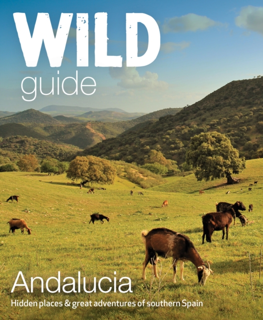 Wild Guide Andalucia : Hidden places, great adventures and the good life in southern Spain, Paperback / softback Book