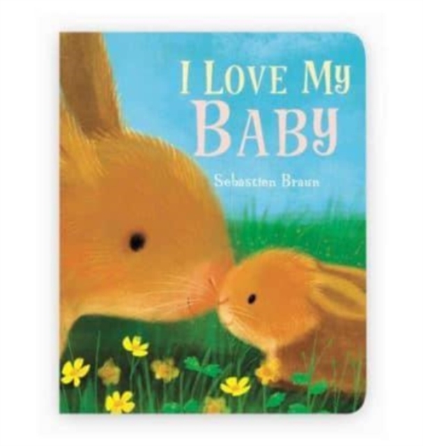 I Love My Baby, Board book Book