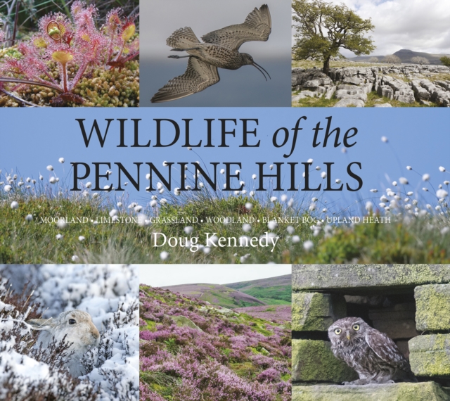 Wildlife of the Pennine Hills : Moorland : Limestone : Grassland : Woodland : Blanket Bog : Upland Heath, Hardback Book