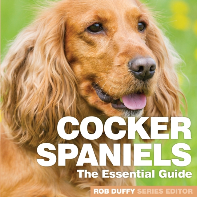 Cocker Spaniels : The Essential Guide, Paperback / softback Book