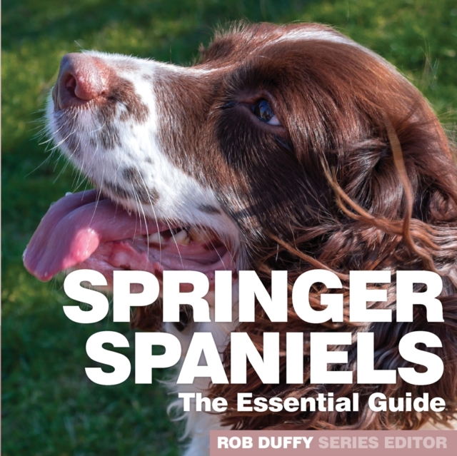 Springer Spaniels : The Essential Guide, Paperback / softback Book