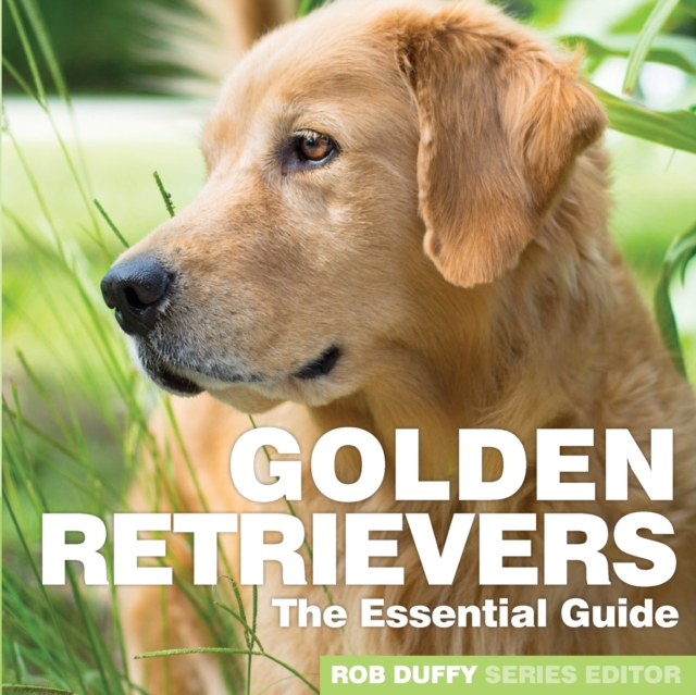 Golden Retrievers : The Essential Guide, Paperback / softback Book