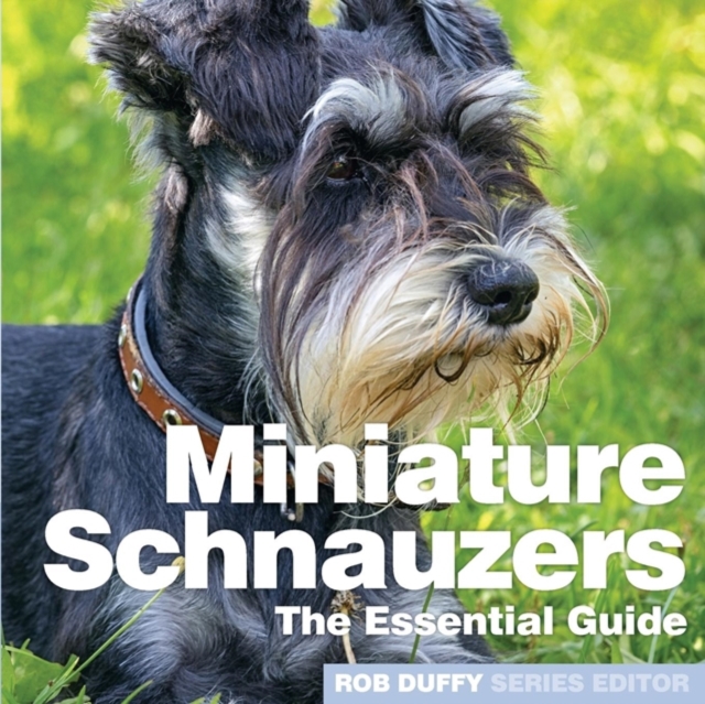Miniture Schnauzers : The Essential Guide, Paperback / softback Book