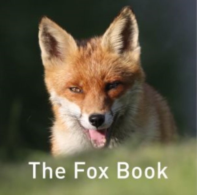 The Fox Book, Hardback Book