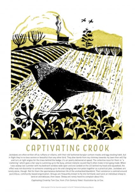 Tom Cox's 21st Century Yokel Poster - Captivating Crook, Poster Book