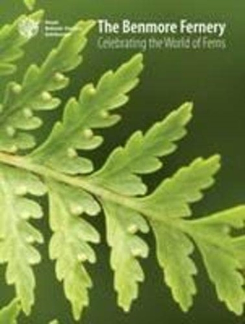 The Benmore Fernery : Celebrating the world of Ferns, Paperback / softback Book