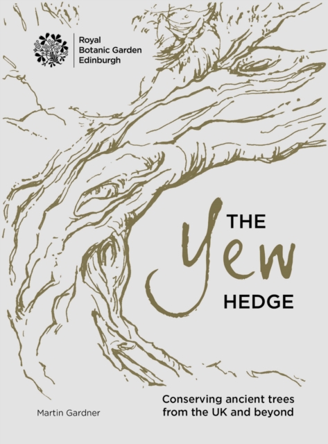 The Yew Hedge, Hardback Book