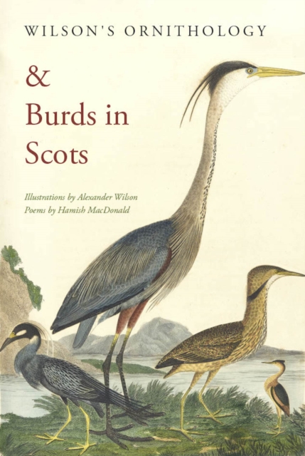 Wilson's Ornithology and Burds in Scots, Paperback / softback Book