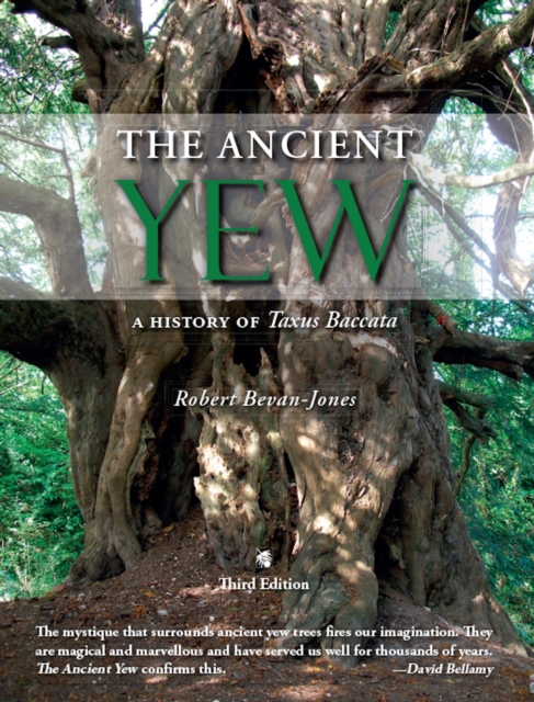 The Ancient Yew : A History of Taxus baccata, EPUB eBook