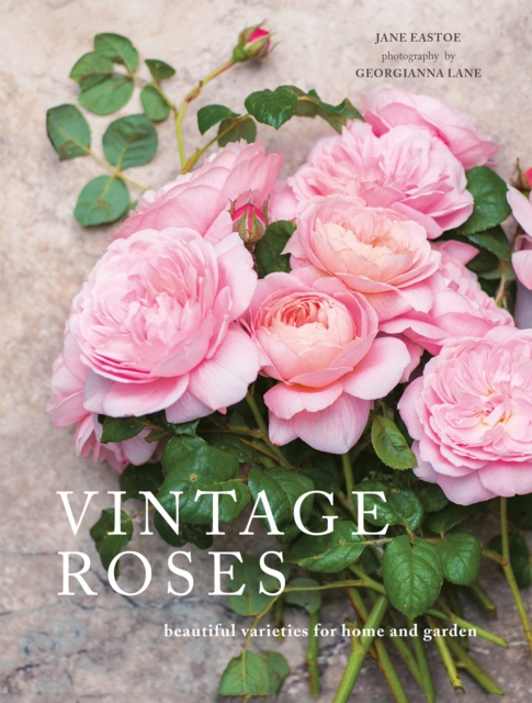 Vintage Roses, EPUB eBook