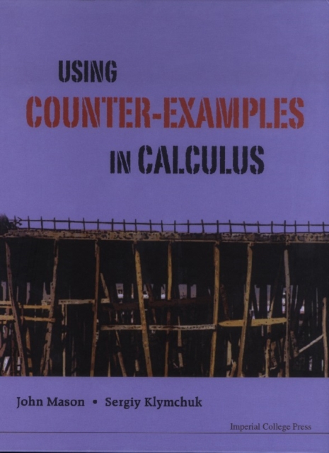 Using Counter-examples In Calculus, PDF eBook