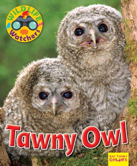 Wildlife Watchers: Tawny Owl, Paperback / softback Book
