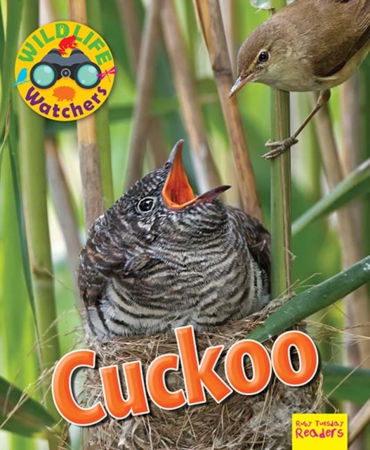 Wildlife Watchers: Cuckoo, Paperback / softback Book