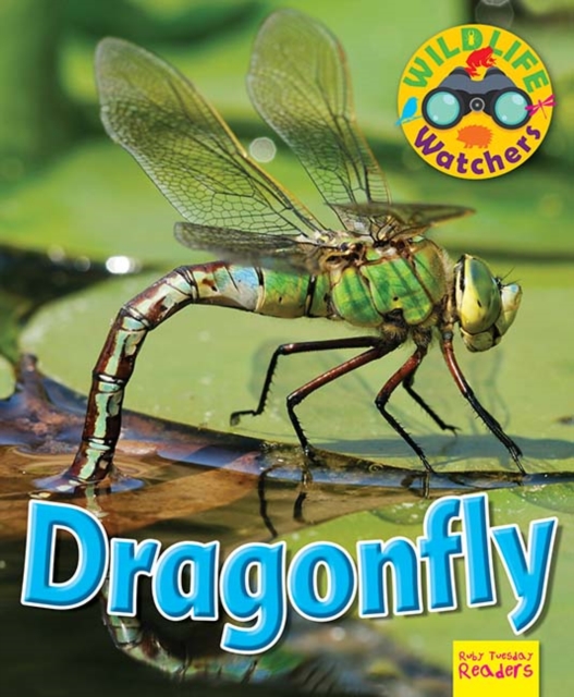 Wildlife Watchers: Dragonfly, Paperback / softback Book
