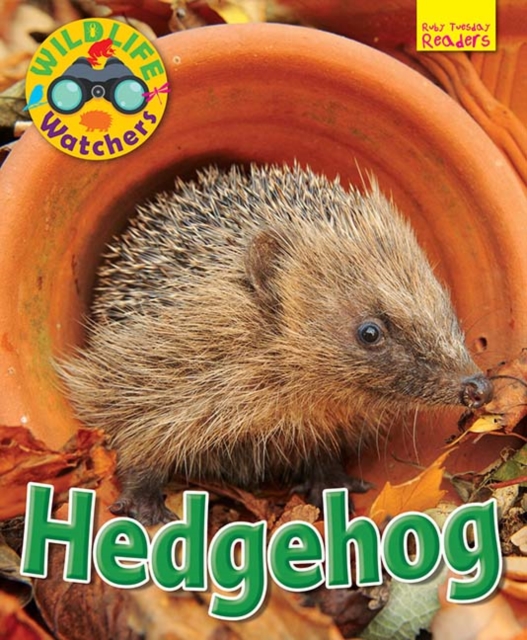 Wildlife Watchers: Hedgehog, Paperback / softback Book