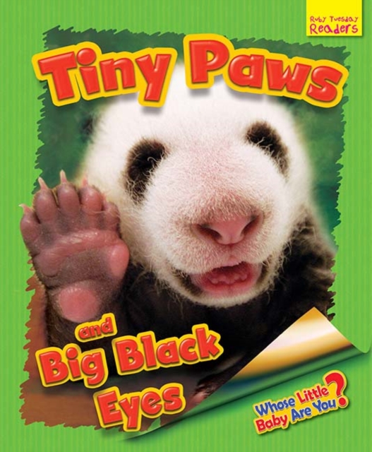 Whose Little Baby Are You? Tiny Paws and Big Black Eyes, Paperback / softback Book