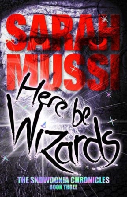 Here be Wizards : The Snowdonia Chronicles: book three, Paperback / softback Book