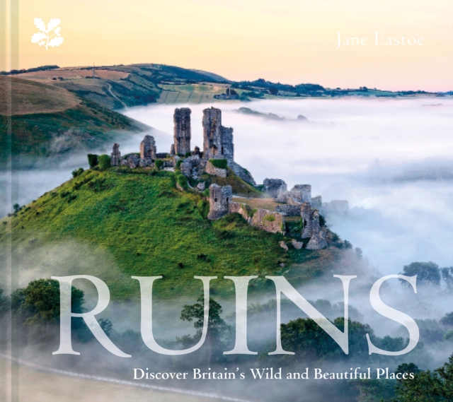 Ruins : Discover Britain's Wild and Beautiful Places, Hardback Book