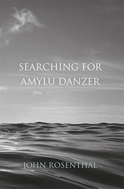 Searching for Amyu Danzer, Hardback Book