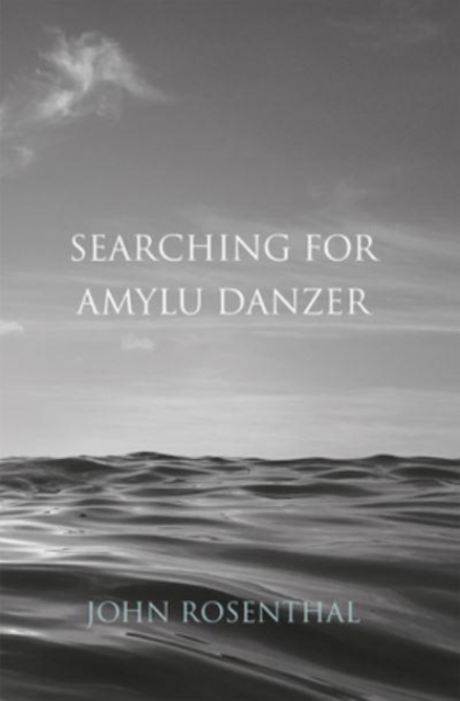 Searching for Amylu Danzer, Paperback / softback Book