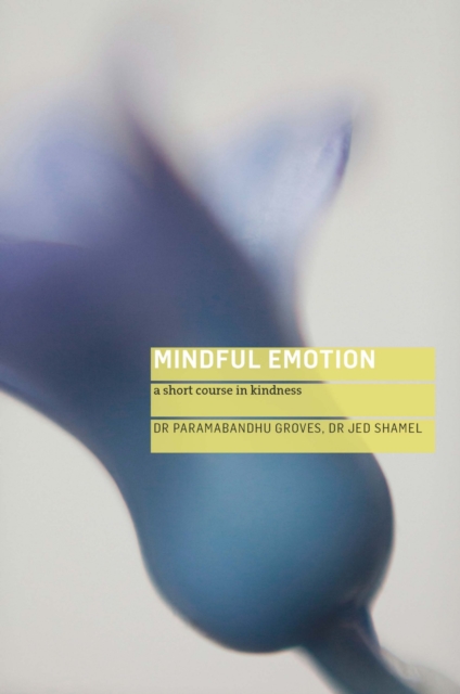Mindful Emotion (nonenhanced), EPUB eBook