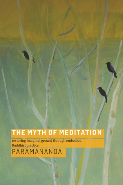 The Myth of Meditation, EPUB eBook