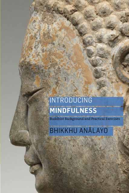 Introducing Mindfulness, EPUB eBook