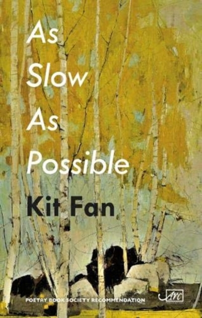 As Slow As Possible, Hardback Book
