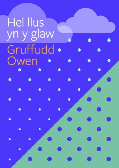 Cyfres Tonfedd Heddiw: Hel Llus yn y Glaw, EPUB eBook