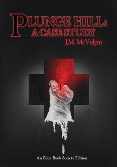 Plunge Hill : A Case Study, Paperback / softback Book