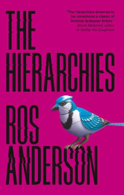 The Hierarchies, Paperback / softback Book