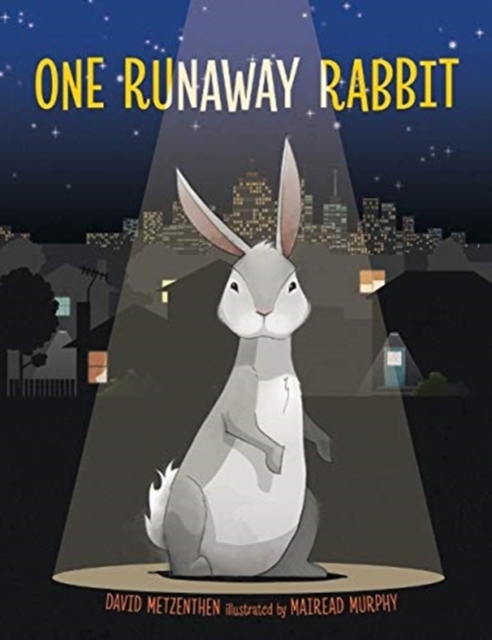 One Runaway Rabbit, Hardback Book