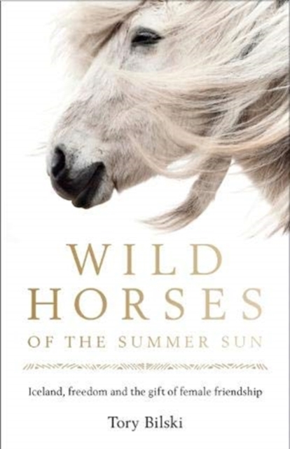 Wild Horses of the Summer Sun : Iceland, freedom and the gift of female friendship, Paperback / softback Book