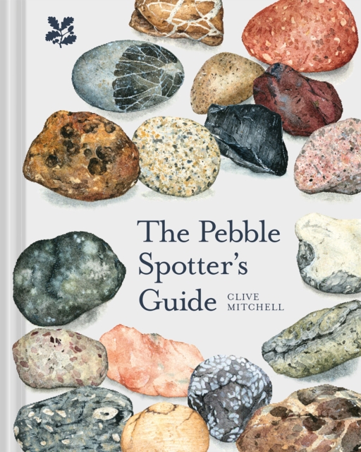 The Pebble Spotter's Guide, EPUB eBook