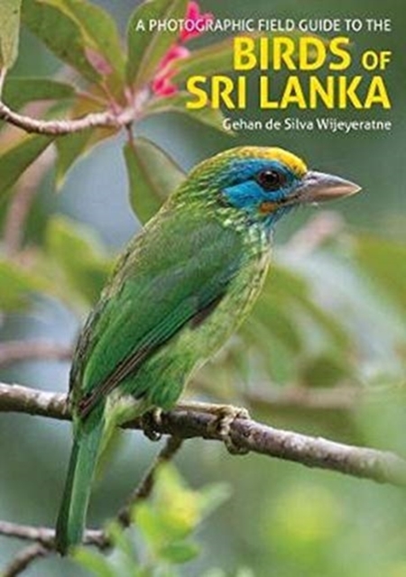 The Birds of Sri Lanka : A Photographic Field Guide (2nd edition), Paperback / softback Book
