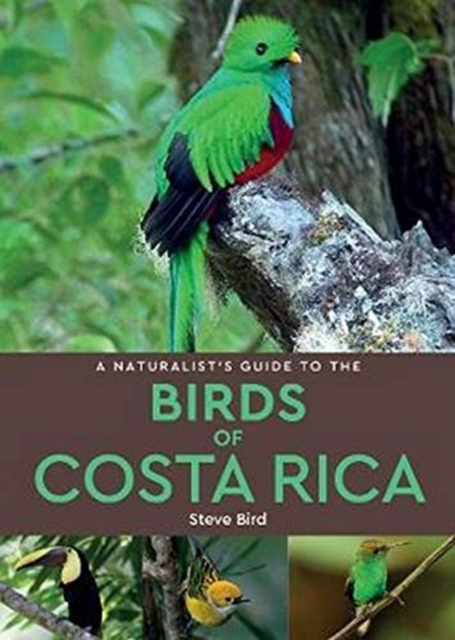 A Naturalist’s Guide to the Birds of Costa Rica (2nd edition), Paperback / softback Book