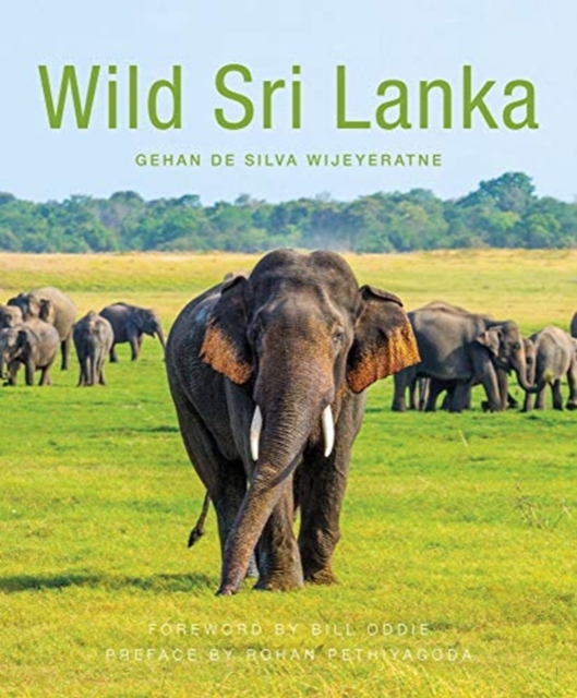 Wild Sri Lanka (2nd edition), Paperback / softback Book