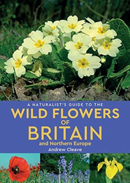 A Naturalist's Guide to the Wild Flowers of Britain and Northern Europe (2nd edition), Paperback / softback Book