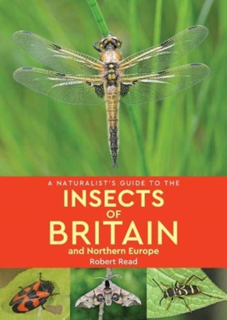 A Naturalist's Guide to the Insects of Britain and Northern Europe (2nd edition), Paperback / softback Book