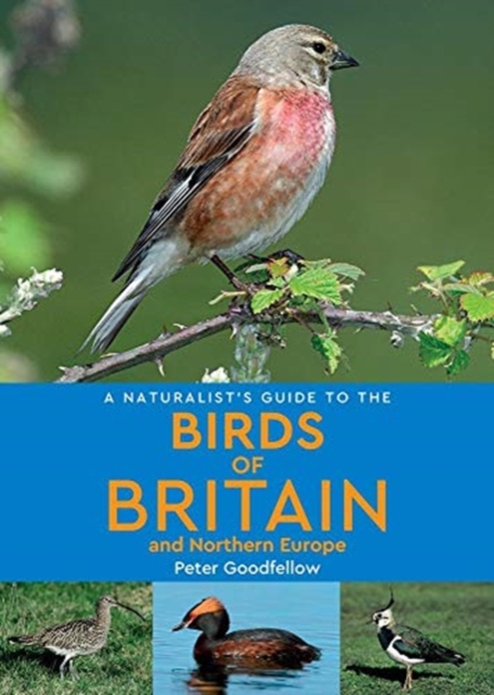 A Naturalist's Guide to the Birds of Britain and Northern Europe (2nd edition), Paperback / softback Book