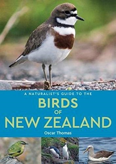 A Naturalist's Guide to the Birds of New Zealand, Paperback / softback Book