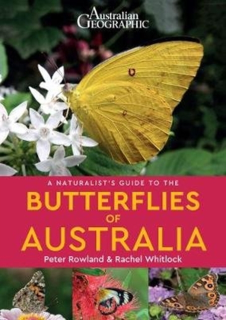 A Naturalist's Guide to the Butterflies of Australia, Paperback / softback Book