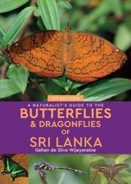 A Naturalist's Guide to the Butterflies of Sri Lanka (2nd edition), Paperback / softback Book